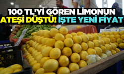 Limonun fiyatı normale döndü