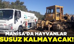 Manisa'da hayvan içme suyu göletleri temizleniyor!