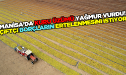 Manisa'da yağmur kuru üzümü vurdu!