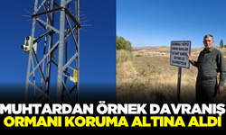 Muhtardan ormanı korumak adına örnek davranış