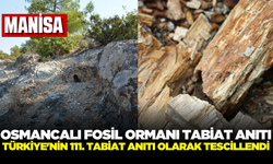 Manisa'da bulunan fosil ormanı tabiat anıtı olarak tescillendi