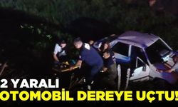 Otomobil dereye uçtu: 2 yaralı