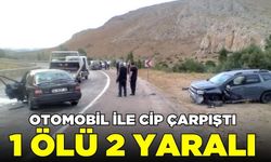 Otomobil ile cip çarpıştı: 1 ölü 2 yaralı