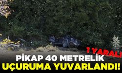 Pikap uçuruma yuvarlandı: 1 yaralı