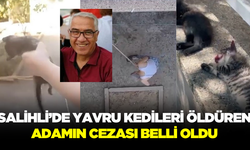 Salihli'de yavru kedileri süpürge sapıyla öldürmüştü, karar çıktı