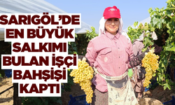 Sarıgöl'de devasa üzüm salkımını bulan işçi bahşişi kaptı