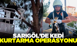 Sarıgöl'de kedi kurtarma operasyonu