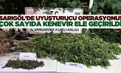 Sarıgöl'de uyuşturucu operasyonunda 10 adet hint keneviri ele geçirildi