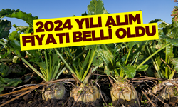 Şeker pancarı 2024 yılı alım fiyatı belli oldu!