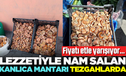 Sofraların vazgeçilmezi kanlı mantarı tezgahlardaki yerini aldı