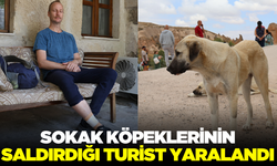 Sokak köpeklerinin saldırdığı turist ayağından yaralandı