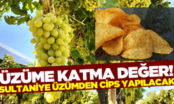 Sultaniye üzümden cips yapılacak