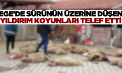 Sürünün üzerine düşen yıldırım 7 hayvanı telef etti