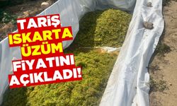 TARİŞ ıskarta üzüm fiyatını açıkladı