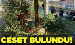 Yol kenarında ceset bulundu