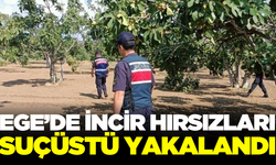 Ege'de incir hırsızlarına suçüstü