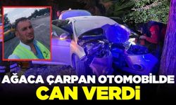 Otomobil ağaca çarptı! 1 ölü 1 yaralı