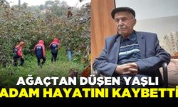 72 yaşındaki adam ağaçtan düşerek can verdi