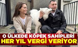 Köpek vergisini ödemeyenlere 10 bin euro ceza!