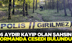 Altı aydır kayıptı! Ormanda cansız bedeni bulundu