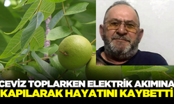 Elektrik tellerine temas eden çiftçi ceviz toplarken hayatını kaybetti