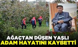 Çıktığı ağaçtan düşen yaşlı adam hayatını kaybetti