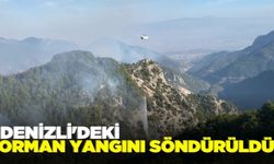 Denizli'de 6 gün süren orman yangını söndürüldü!