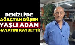 Denizli'de ceviz ağacından düşen yaşlı adam hayatını kaybetti