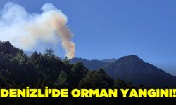 Denizli'de orman yangını!