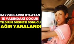 Hayvanlarını otlatan 15 yaşındaki çocuk yıldırım çarpması sonucu ağır yaralandı