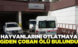 Hayvanlarını otlatmaya giden çobanın cansız bedeni bulundu