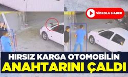 Karga, otomobilin anahtarını çaldı! "Anahtarı alana kadar canımız çıktı"