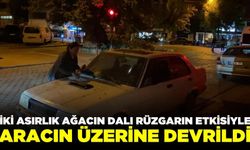 Denizli'de asırlık ağaç aracın üzerine devrildi, aile son anda kurtuldu