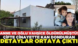 Kan donduran cinayetin detayları ortaya çıktı