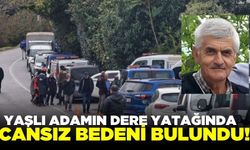 Kestane toplamaya giden yaşlı adamın cansız bedeni bulundu