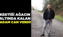 Kestiği ağacın altında kalan adam hayatını kaybetti