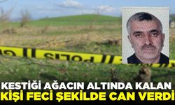 Kestiği ağacın altında kalan kişi can verdi