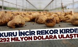 Kuru incir ihracatı 300 milyon dolara yaklaştı