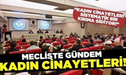 Başkan Zeyrek; "Kadın cinayetleri sistematik bir kırıma gidiyor!"