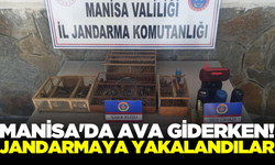 Manisa'da Kaçak Saka Avcılığı Operasyonu!