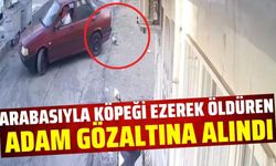 Manisa'da arabasıyla köpeğin üzerinden geçen adam gözaltına alındı!