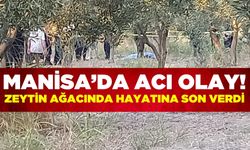 Manisa'da kendini zeytin ağacına asan kişi hayatını kaybetti