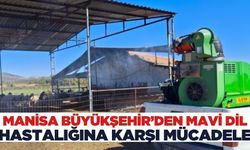 Manisa'da mavi dil hastalığına karşı kapsamlı mücadele