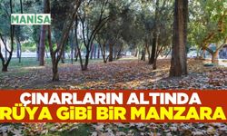 Manisa'ya hoş geldin sonbahar