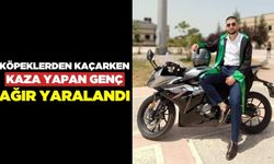 Motosikletli genç köpeklerden kaçarken ağır yaralandı