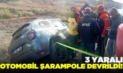 Otomobil şarampole devrildi: 3 yaralı