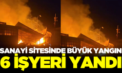 Sanayi sitesinde büyük yangın: 6 işyeri yandı