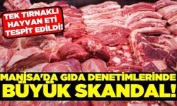 Manisa'da gıda denetimlerinde skandal!