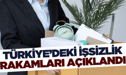 Türkiye'de 2024 Ağustos ayı işsiz sayısı belli oldu