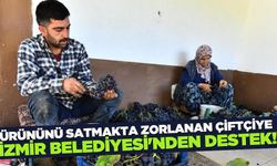 İzmir Büyükşehir'den üzüm üreticisine destek